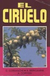 CIRUELO