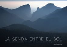 LA SENDA ENTRE EL BOJ