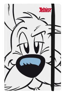 CUADERNO ASTERIX. IDEAFIX