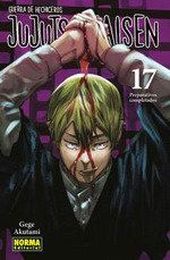 JUJUTSU KAISEN 17 (NE)