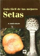 Guía fácil de las mejores setas