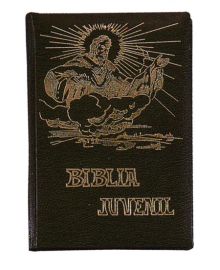 BIBLIA JUVENIL