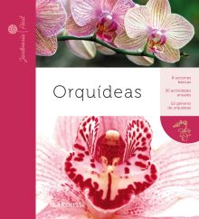 Orquídeas