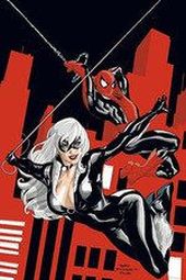 MARVEL MUST HAVE SPIDERMAN/LA GATA NEGRA. EL MAL QUE HACEN LOS HO