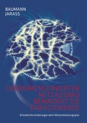 ÜBERDIMENSIONIERTER NETZAUSBAU BEHINDERT DIE ENERGIEWENDE