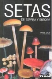 SETAS DE ESPAÑA Y EUROPA