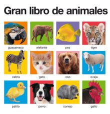 GRAN LIBRO DE ANIMALES