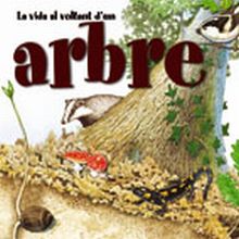 LA VIDA AL VOLTANT D'UN ARBRE