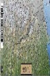 Pirineo Catalán (tubo)