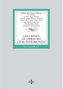 LECCIONES DE DERECHO CIVIL PATRIMONIAL