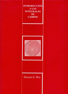 INTRODUCCIÓN A LAS INTEGRALES DEL CAMINO