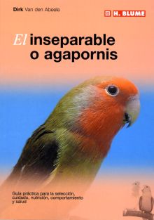 EL INSEPARABLE O AGAPORNIS