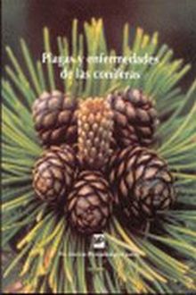 PLAGASAYAENFERMEDADESADEALASACONIFERAS