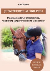 JUNGPFERDE AUSBILDEN