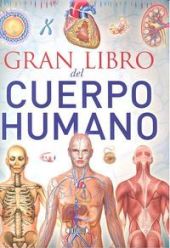 EL CUERPO HUMANO