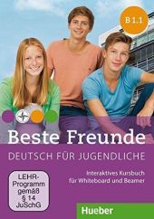BESTE FREUNDE B1.1 INTERAKT.KB (DVD-ROM)
