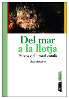 DEL MAR A LA LLOTJA