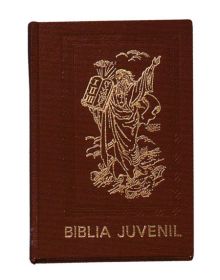 BIBLIA JUVENIL