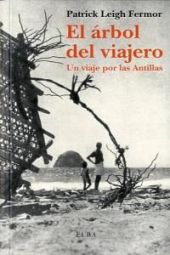 ARBOL DEL VIAJERO