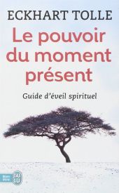 LE POUVOIR DU MOMENT PRÉSENT: GUIDE D'ÉVEIL SPIRITUEL