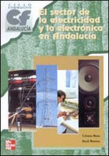 EL SECTOR DE LA ELECTRICIDAD Y LA ELECTRONICA EN ANDALUCIA
